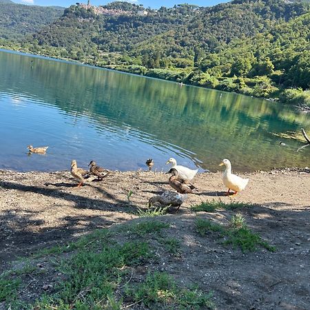 Casetta Incantevole Genzano Di Roma Bagian luar foto